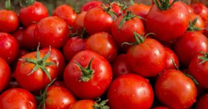 Tabela Cid 10 Completa e online quantas calorias tem um tomate