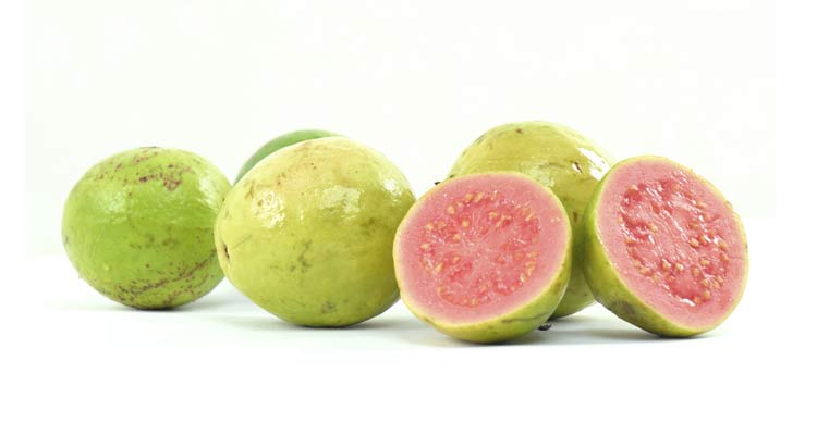 Goiaba engorda ou emagrece? Veja a melhor forma de consumir a fruta será que goiaba engorda