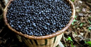 suco de açaí