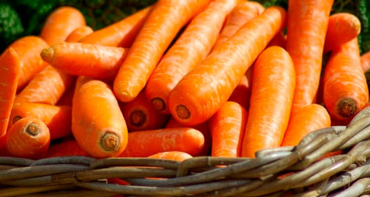 Calorias da cenoura - descubra se você precisa se preocupar com elas calorias da cenoura