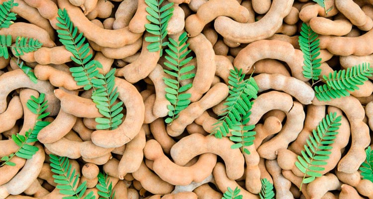 o que é tamarindo? 1