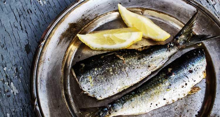 receitas com peixe